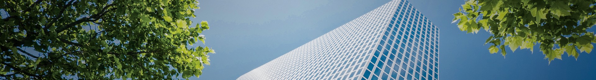 ladbrokes立博-公司官网